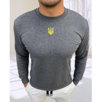 Світшот чоловічий батал оптом р.2XL-6XL Туреччина
