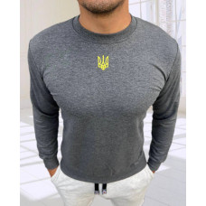 Світшот чоловічий батал оптом р.2XL-6XL Туреччина